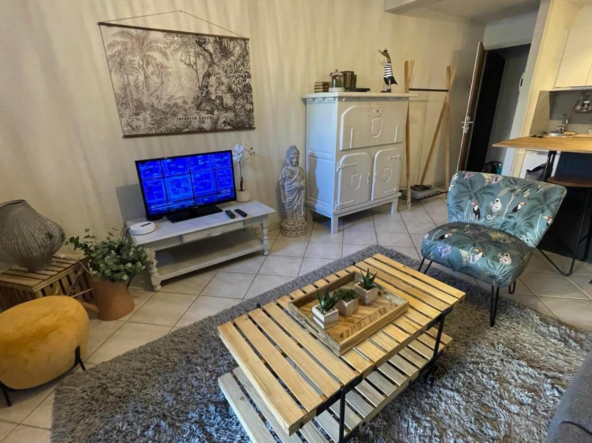 Le Patio, Coeur De Ville Avec Garage Et Jardin Ванн Екстер'єр фото