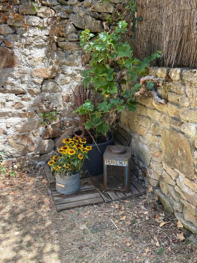 Le Patio, Coeur De Ville Avec Garage Et Jardin Ванн Екстер'єр фото